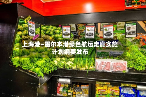上海港—墨尔本港绿色航运走廊实施计划纲要发布