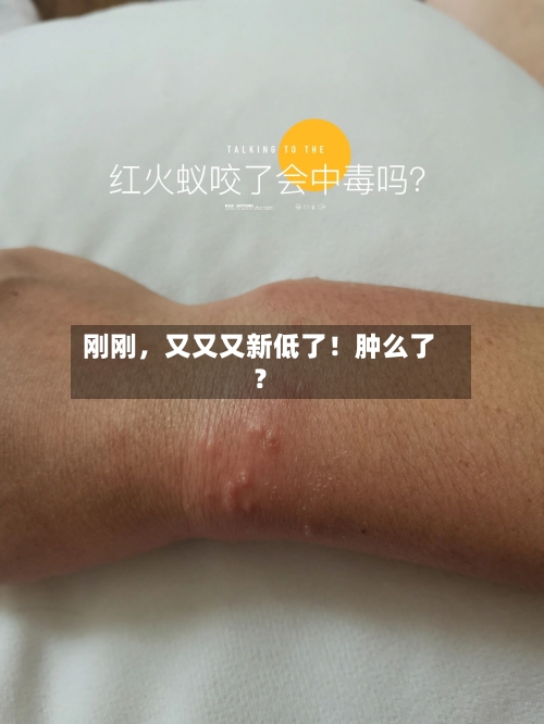刚刚，又又又新低了！肿么了？-第2张图片