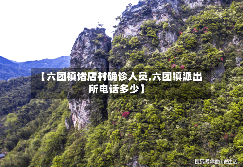 【六团镇诸店村确诊人员,六团镇派出所电话多少】-第2张图片