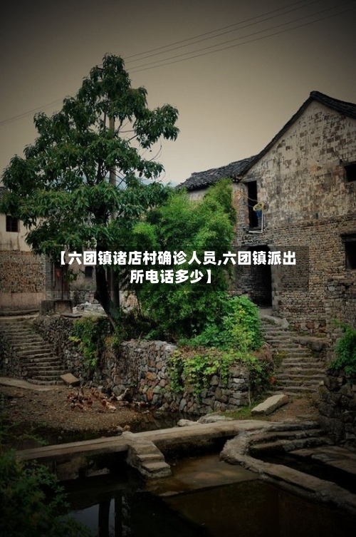 【六团镇诸店村确诊人员,六团镇派出所电话多少】-第1张图片