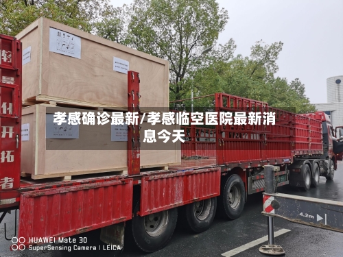 孝感确诊最新/孝感临空医院最新消息今天-第3张图片