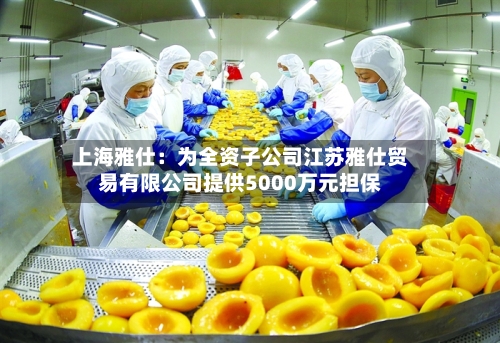 上海雅仕:为全资子公司江苏雅仕贸易有限公司提供5000万元担保