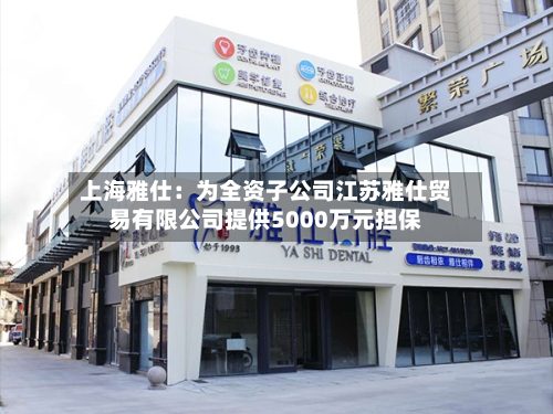 上海雅仕：为全资子公司江苏雅仕贸易有限公司提供5000万元担保-第3张图片