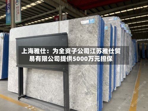 上海雅仕：为全资子公司江苏雅仕贸易有限公司提供5000万元担保-第2张图片