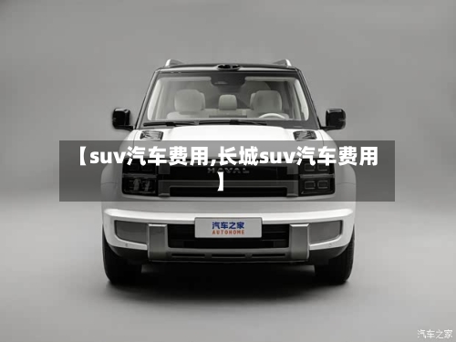 【suv汽车费用,长城suv汽车费用】