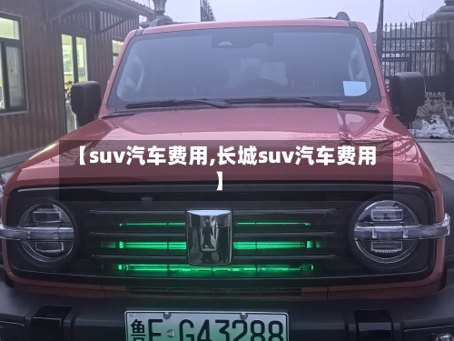 【suv汽车费用,长城suv汽车费用】-第2张图片