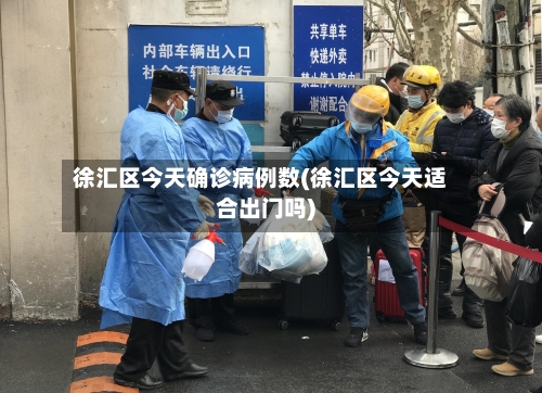 徐汇区今天确诊病例数(徐汇区今天适合出门吗)-第2张图片