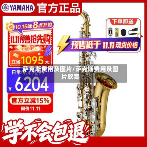 萨克斯费用及图片/萨克斯费用及图片欣赏-第2张图片