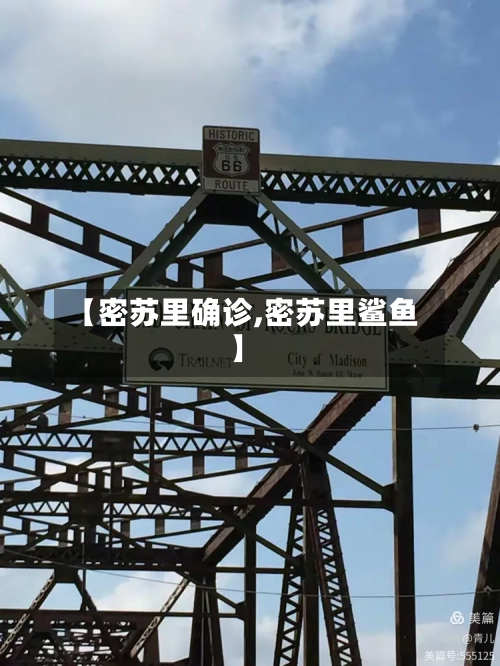 【密苏里确诊,密苏里鲨鱼】-第2张图片
