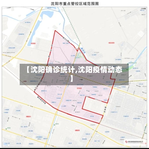 【沈阳确诊统计,沈阳疫情动态】