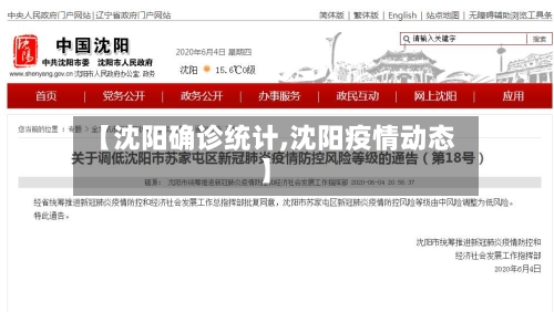 【沈阳确诊统计,沈阳疫情动态】-第2张图片
