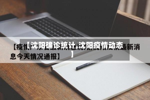 【沈阳确诊统计,沈阳疫情动态】-第3张图片