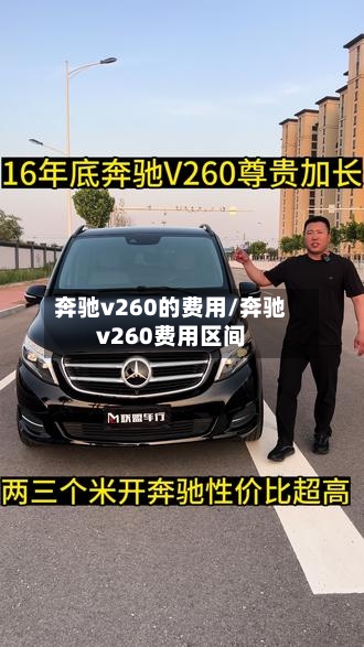 奔驰v260的费用/奔驰v260费用区间-第2张图片