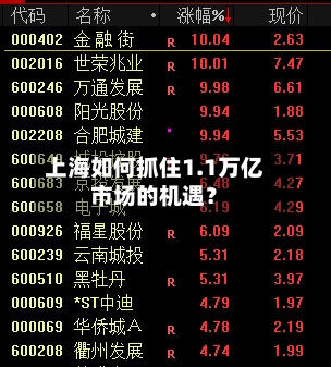 上海如何抓住1.1万亿市场的机遇？