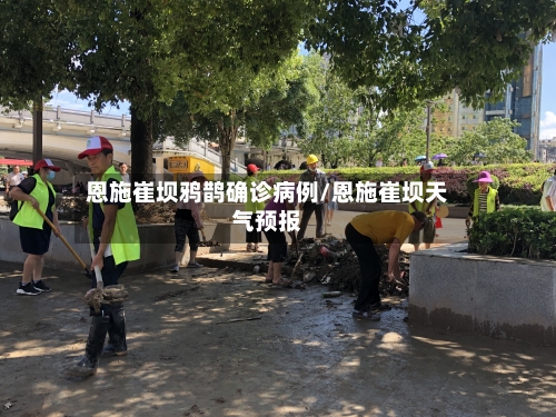 恩施崔坝鸦鹊确诊病例/恩施崔坝天气预报