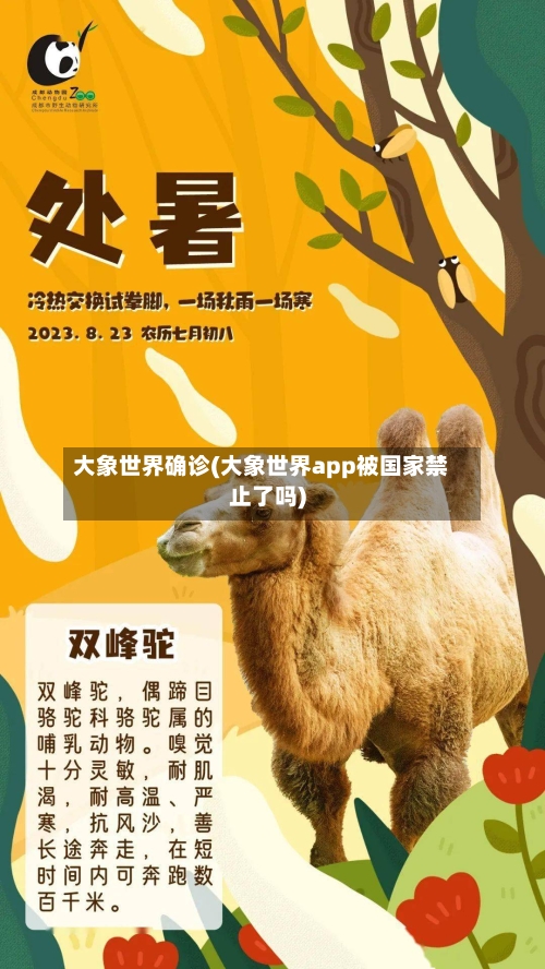 大象世界确诊(大象世界app被国家禁止了吗)-第3张图片