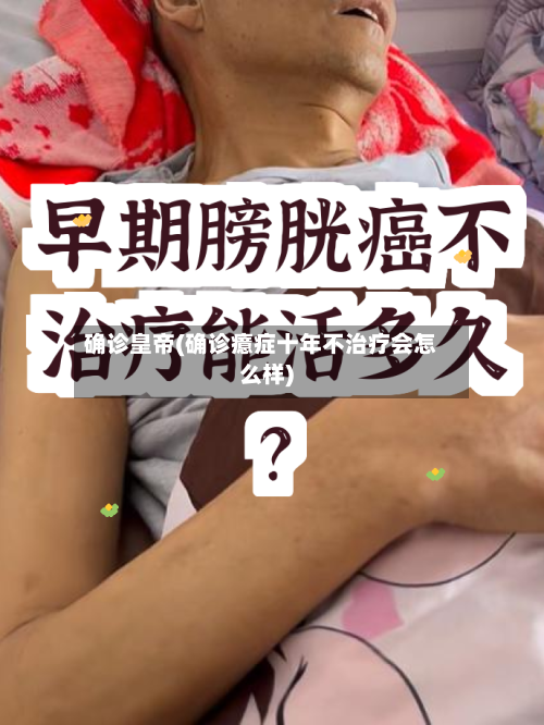 确诊皇帝(确诊癔症十年不治疗会怎么样)-第2张图片