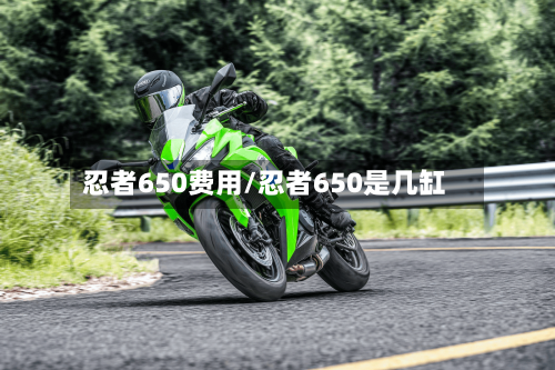 忍者650费用/忍者650是几缸