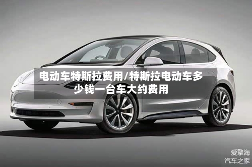 电动车特斯拉费用/特斯拉电动车多少钱一台车大约费用-第3张图片