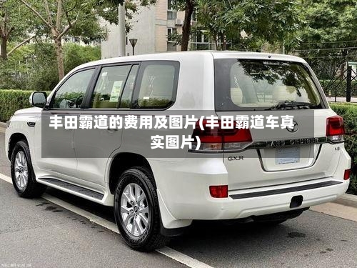 丰田霸道的费用及图片(丰田霸道车真实图片)
