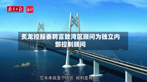 炙龙控股委聘富致湾区顾问为独立内部控制顾问-第2张图片