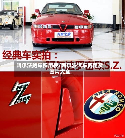 阿尔法跑车费用表/阿尔法汽车费用及图片大全