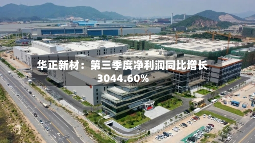 华正新材:第三季度净利润同比增长3044.60%-第3张图片