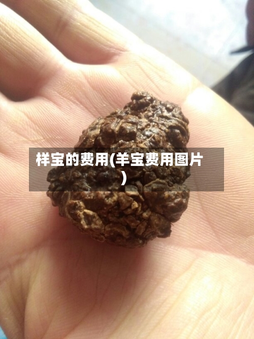 样宝的费用(羊宝费用图片)
