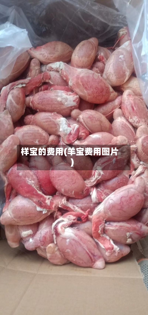 样宝的费用(羊宝费用图片)-第3张图片