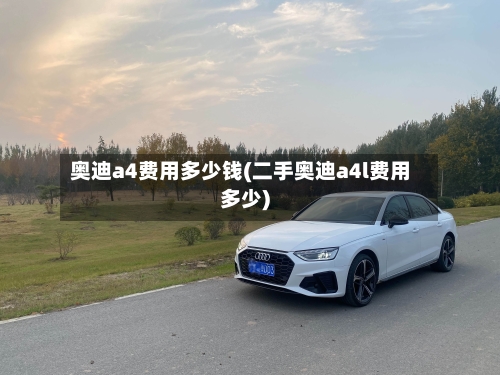 奥迪a4费用多少钱(二手奥迪a4l费用多少)-第2张图片