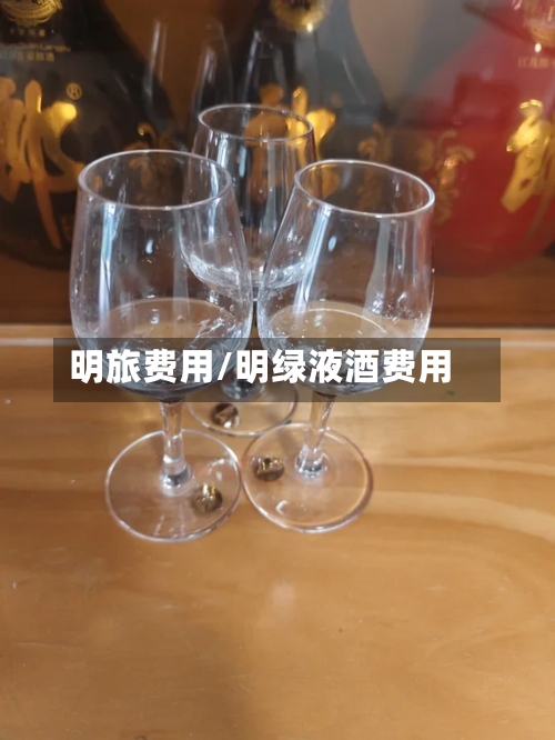 明旅费用/明绿液酒费用-第2张图片