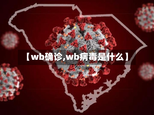 【wb确诊,wb病毒是什么】