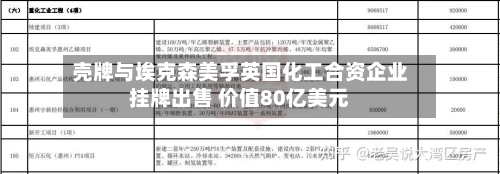 壳牌与埃克森美孚英国化工合资企业挂牌出售 价值80亿美元-第1张图片