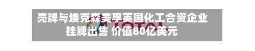 壳牌与埃克森美孚英国化工合资企业挂牌出售 价值80亿美元-第2张图片