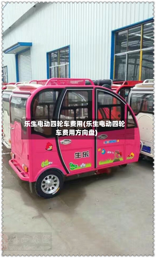 乐生电动四轮车费用(乐生电动四轮车费用方向盘)