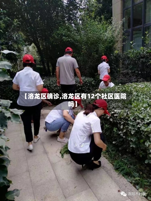 【洛龙区确诊,洛龙区有12个社区医院吗】-第2张图片
