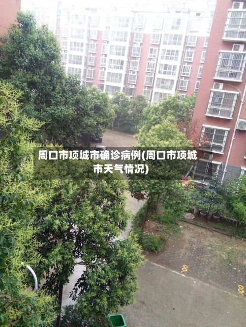 周口市项城市确诊病例(周口市项城市天气情况)-第3张图片
