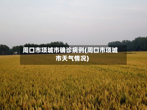 周口市项城市确诊病例(周口市项城市天气情况)-第2张图片