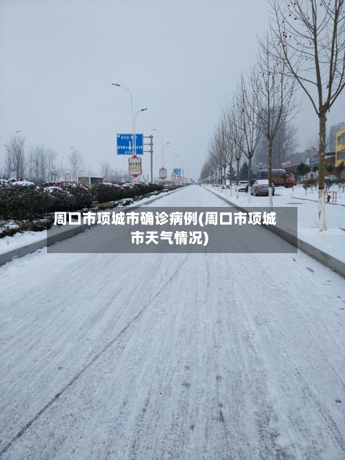 周口市项城市确诊病例(周口市项城市天气情况)