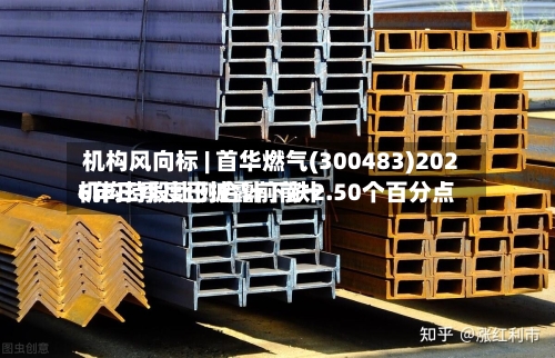 机构风向标 | 首华燃气(300483)2026年三季度已披露前前十
机构持股比例合计下跌2.50个百分点-第3张图片