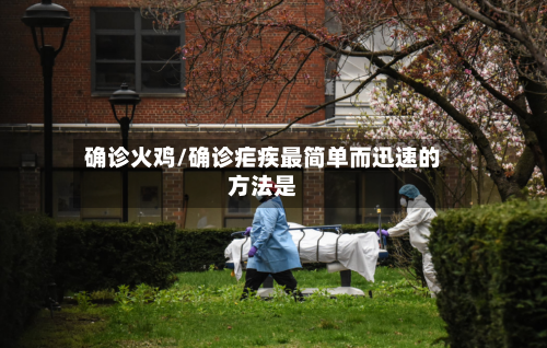 确诊火鸡/确诊疟疾最简单而迅速的方法是