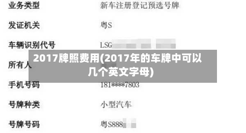 2017牌照费用(2017年的车牌中可以几个英文字母)-第2张图片