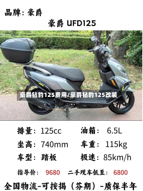 豪爵钻豹125费用/豪爵钻豹125改装-第2张图片