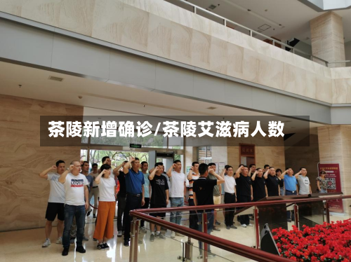 茶陵新增确诊/茶陵艾滋病人数-第2张图片