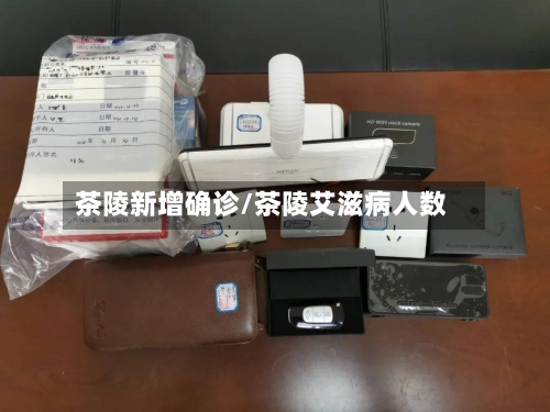 茶陵新增确诊/茶陵艾滋病人数