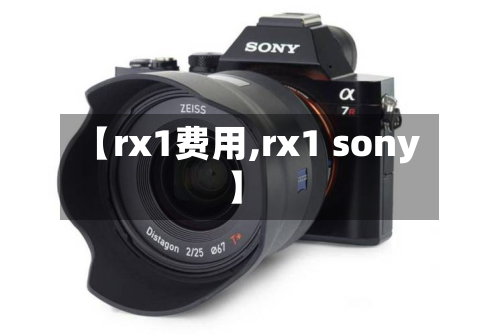 【rx1费用,rx1 sony】-第2张图片