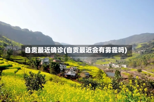 自贡最近确诊(自贡最近会有雾霾吗)-第3张图片
