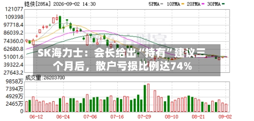 SK海力士：会长给出“持有	”建议三个月后	，散户亏损比例达74%-第2张图片