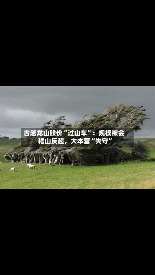 古越龙山股价“过山车”:规模被会稽山反超,大本营“失守”