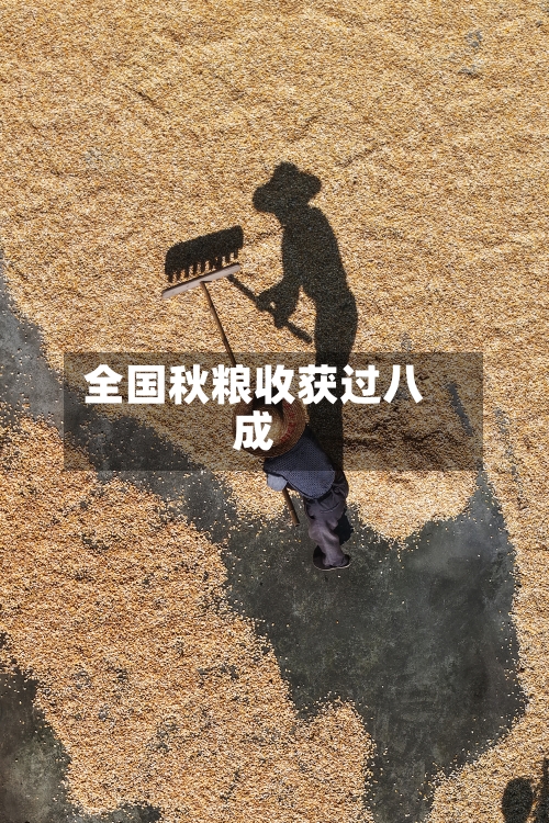 全国秋粮收获过八成